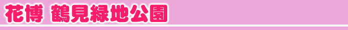 花博　鶴見緑地公園フリマ